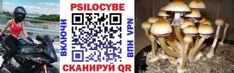 Галлюциногенные грибы MAGIC MUSHROOMS Татарск