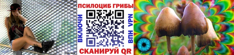 блэк спрут рабочий сайт  Татарск  Псилоцибиновые грибы Magic Shrooms  где купить наркоту 